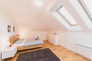 Royal Loft Apartment 110m2 - Prague - 7