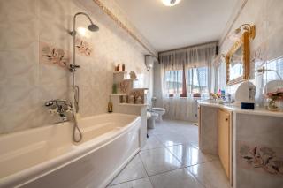 Dolfi Grand Loft - 5