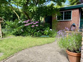 Family home near lake, beach and dunes - 2