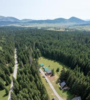 Forest Fox - Žabljak - 8