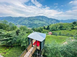 Organic village bungalow - Ayder Yaylasi - 9