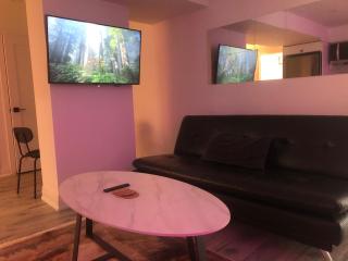 Private modern basement - Aurora - 9