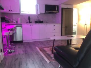 Private modern basement - Aurora - 6