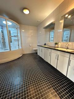 Pen og stor leilighet ved Trondheim sentrum - 5