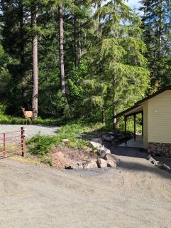Gnome Home - Packwood - 2