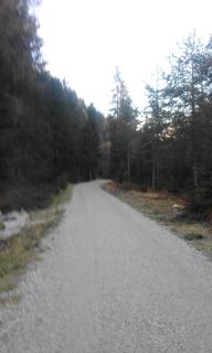 Appartamento Prof. Carlo Pais - Auronzo di Cadore - 8