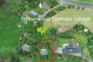 Ribbonwood Treetops cottage - Havelock North - 9