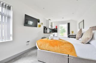 Charming Studio in Central Swansea - Swansea - 3