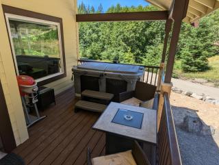 Bird House - Packwood - 6
