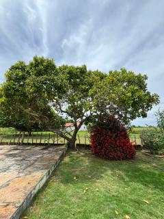 Fazenda Aprazível - 5