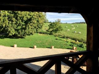 Domaine de Noyer - 5