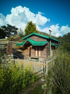 Seegreen Lodges - Mussoorie - 8