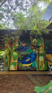 Eco Hostel RENASE - Leticia - 5