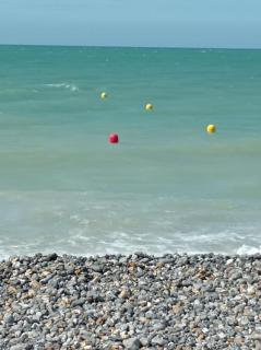 Polilla - Central et cosy - Dieppe - 6
