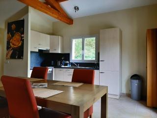 Spacious villa with garden and pool - Les Forges - 1