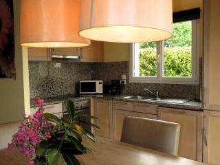 Spacious villa with garden and pool - Les Forges - 6