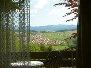 Ferienhaus Hajek - Freyung - 7