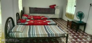 Helena Homestay - 3