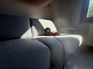 Residenza Grimerio Piano Primo - 2