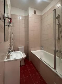 Nemunas Street Apartment - Kaunas - 2