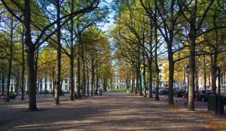 Hotel Des Indes The Hague - The Hague - 7