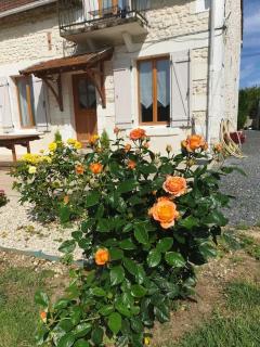 Maison spacieuses - Faverolles - 6