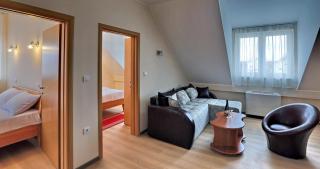 Hotel Novella Uno - Novi Banovci - 8