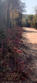 Hiddengem-Luxy-v enterprises PTY LTD - 1