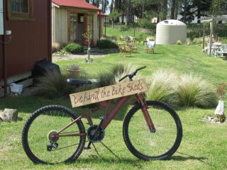 Behind the Bike Sheds - Waipiata - 2
