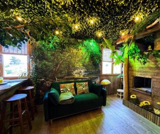 Les Chambres de Paulette à Theme LA JUNGLE ROOM - 9