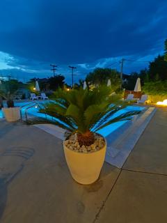 Agorastos Luxury Living - 1