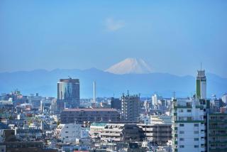折り鶴の間 402 - Tokyo - 6