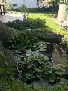 Apartma Lilijana - Ljubljana - 8