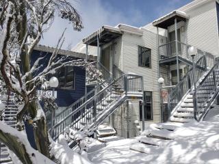 Higgi Drive 1 Ski-In Ski-Out - Mount Hotham - 0