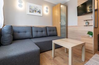 Szeligiewicza Comfort Studio - Kattowitz - 0