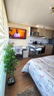 Hermoso Departamento en el centro de Chillán con estacionamiento - Chillán - 9