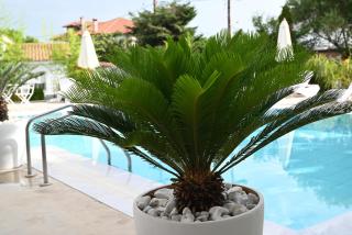 Agorastos Luxury Living - 5