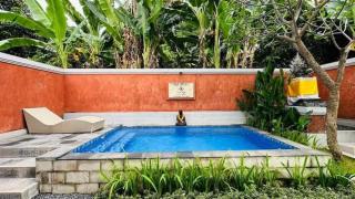 Villa Yude 2 Bedroom Pool Villa - Lovina - 2