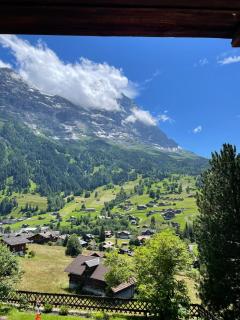 Cosy Swiss Apartment - 5