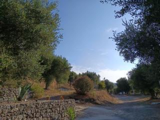 B&B Borgo San Antonio - Marina di Camerota - 5