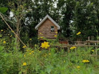 Balay Hilway - Cozy Rustic Cabin - Sara - 1