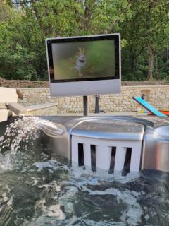 Mas Libertino - Villa avec piscine & jacuzzi - Pernes-les-Fontaines - 7