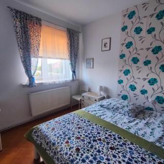 Agrogospodarstwo HALINA ŁUC - Sasino - 8