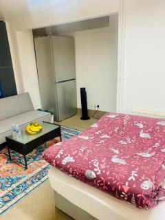 Cozy studio opposite Chelsea stadium - 1