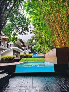 Athirapally Green Trees - Athirappilly - 1