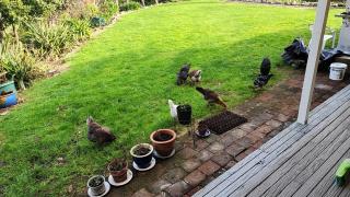 Thames River Valley Studio Retreat 2 - 2