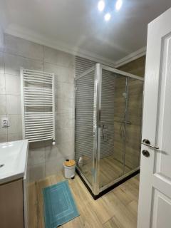 Elegant Zamca Apartment - Suceava - 2