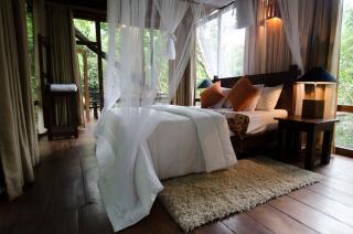 Ella Jungle Resort - Ella - 1