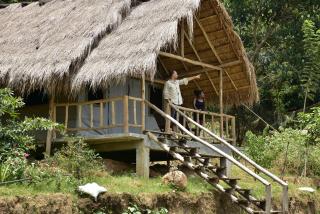 Ella Jungle Resort - Ella - 6