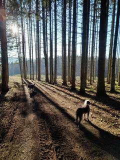 le chalet - Francorchamps - 0